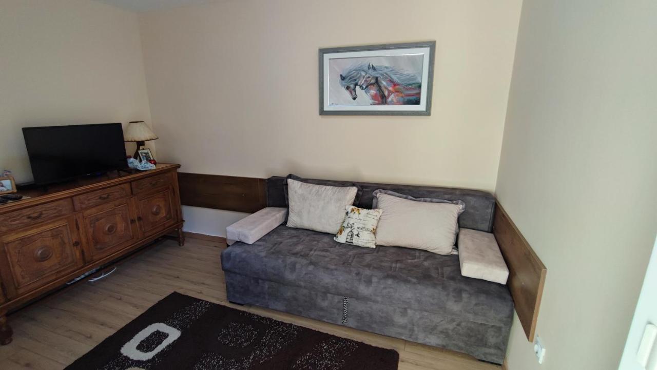 Rakocevic Apartments Petrovac Dış mekan fotoğraf
